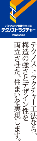 テクノストラクチャー